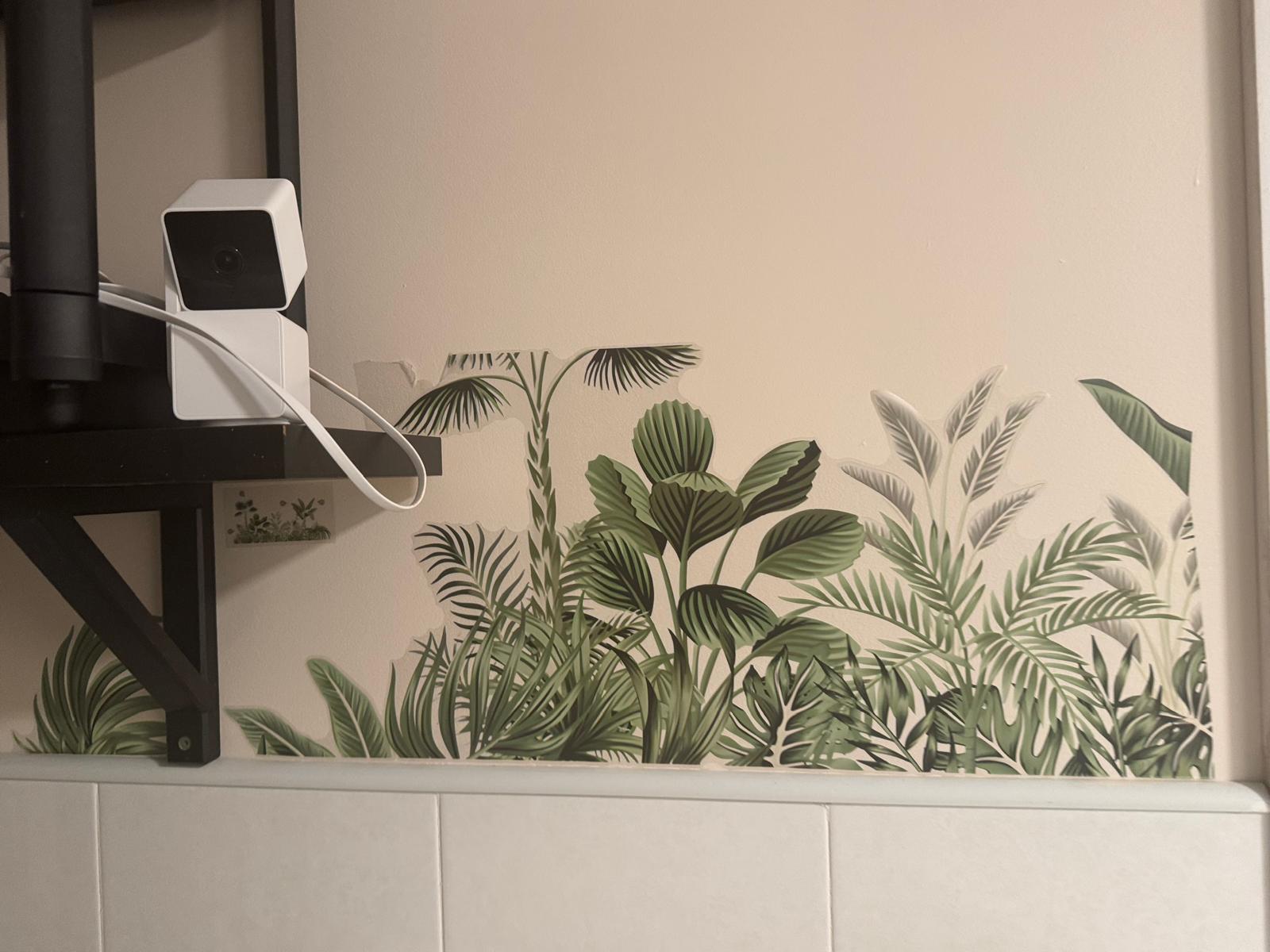 Monstera plant styling detail in the InstaBrows by Kyara studio
